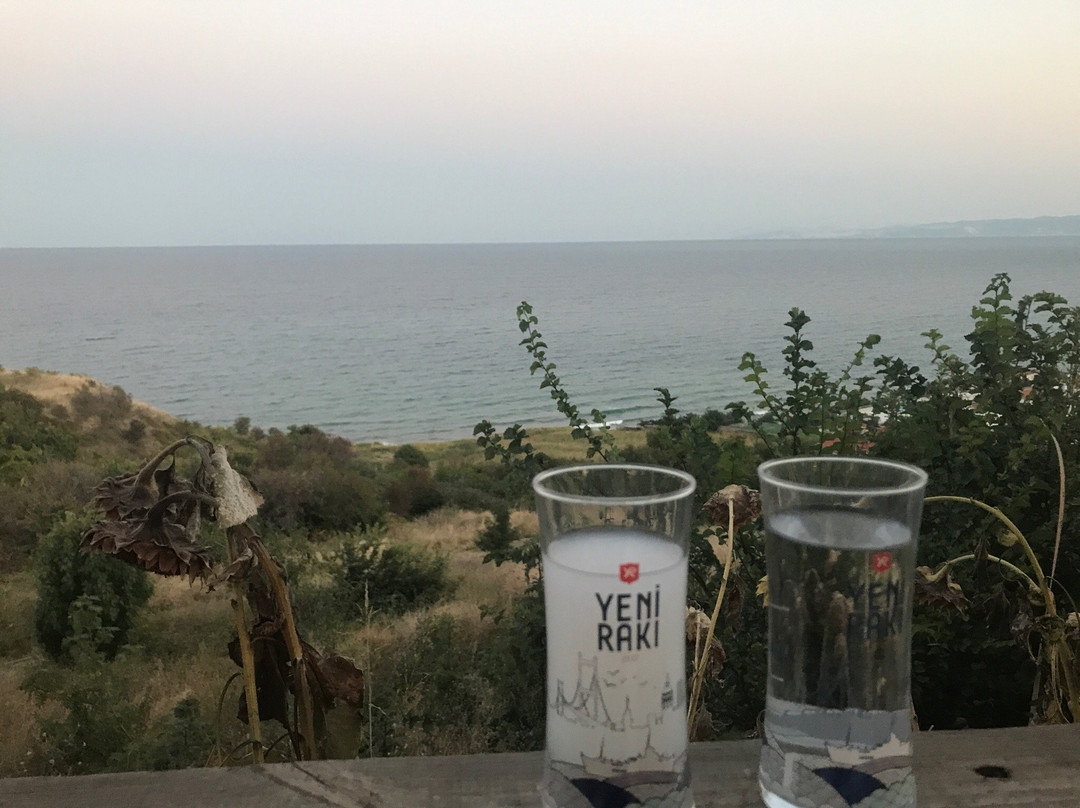 Zahide Et & Balik Restaurant