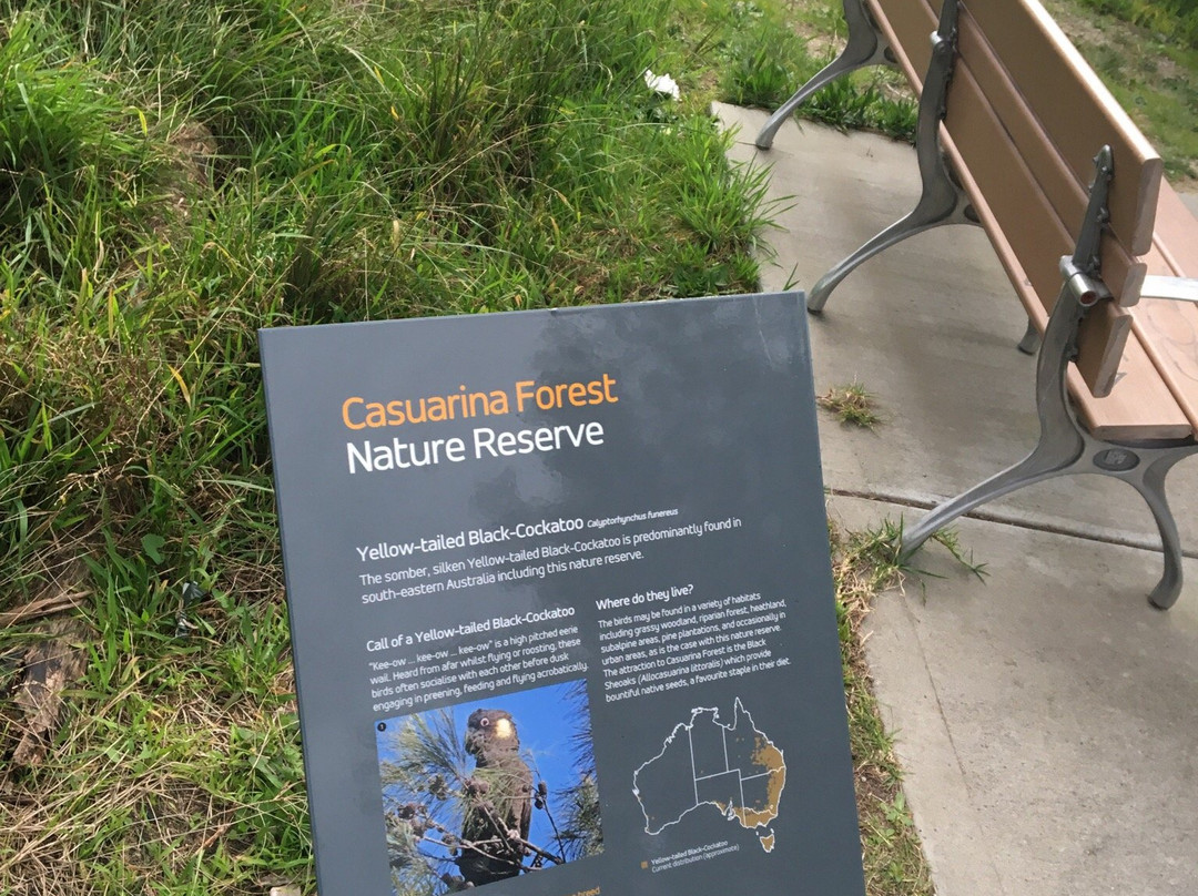 Casuarina Forest Reserve-Endeavour Hills必去景点