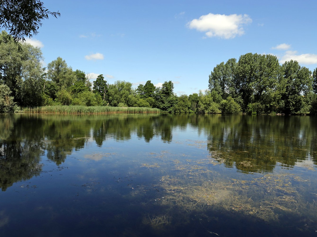 Langford Lakes Nature Reserve景点图片