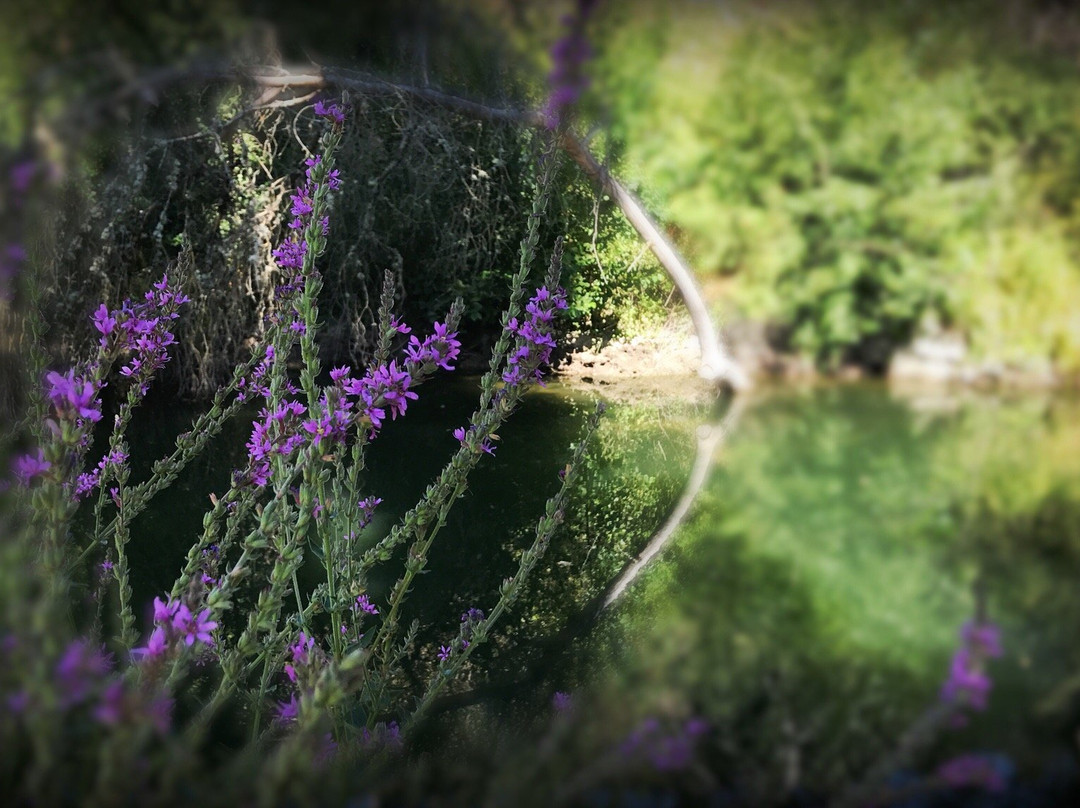 La Senda de los Pescadores-Cuellar必去景点