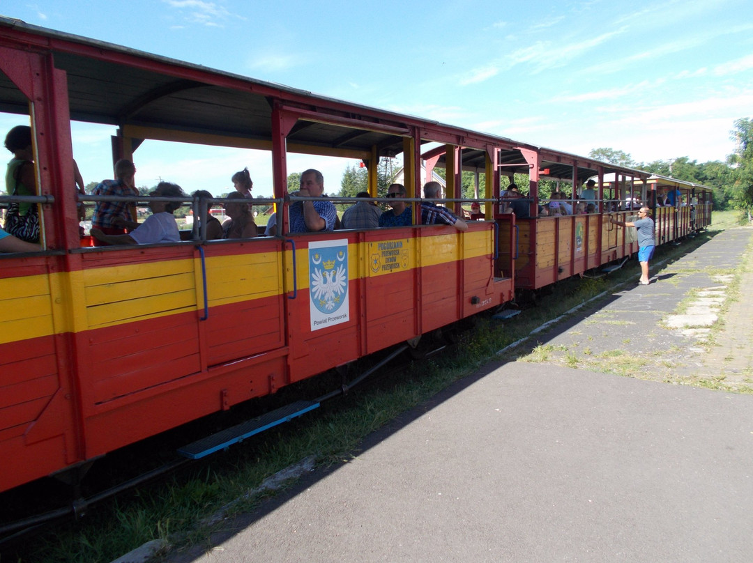 Przeworska Narrow Gauge Railway景点图片