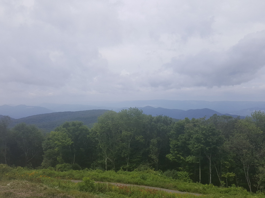 High Knob Recreational Area-Wise必去景点