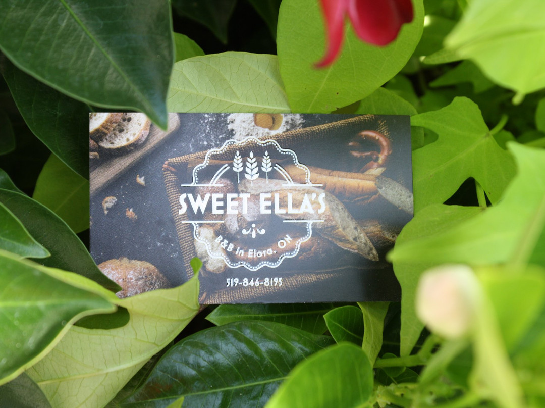 Sweet Ella's Bed and Breakfast主图