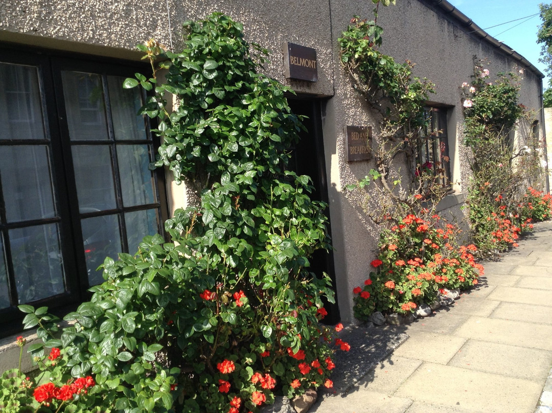 Doddington酒店住宿-Belmont House Bed & Breakfast
