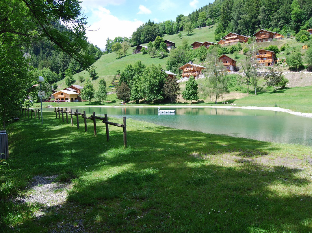 Saint-Nicolas-la-Chapelle餐馆和美食-Restaurant du Lac