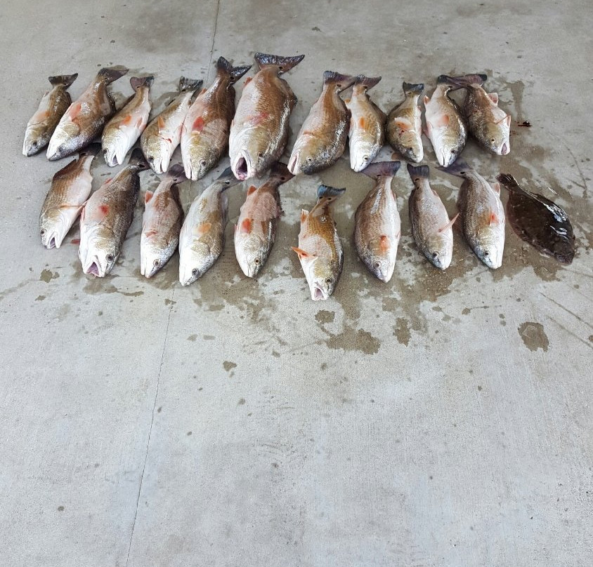 Smokin' Reels Charters LLC景点图片