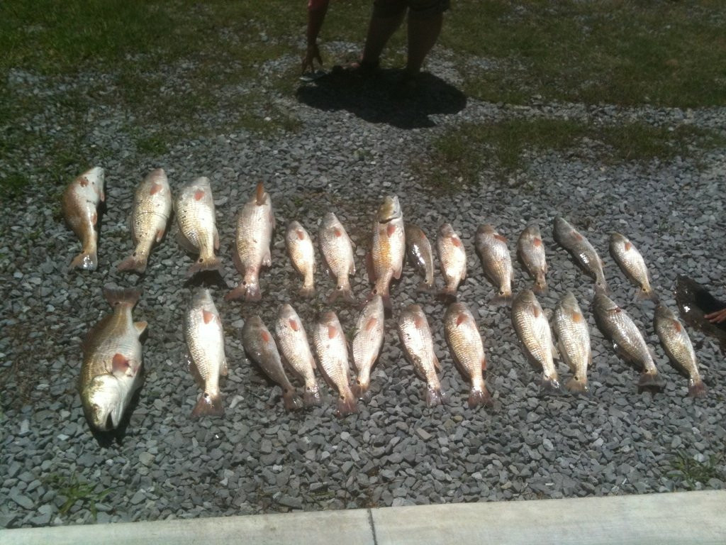 Smokin' Reels Charters LLC景点图片