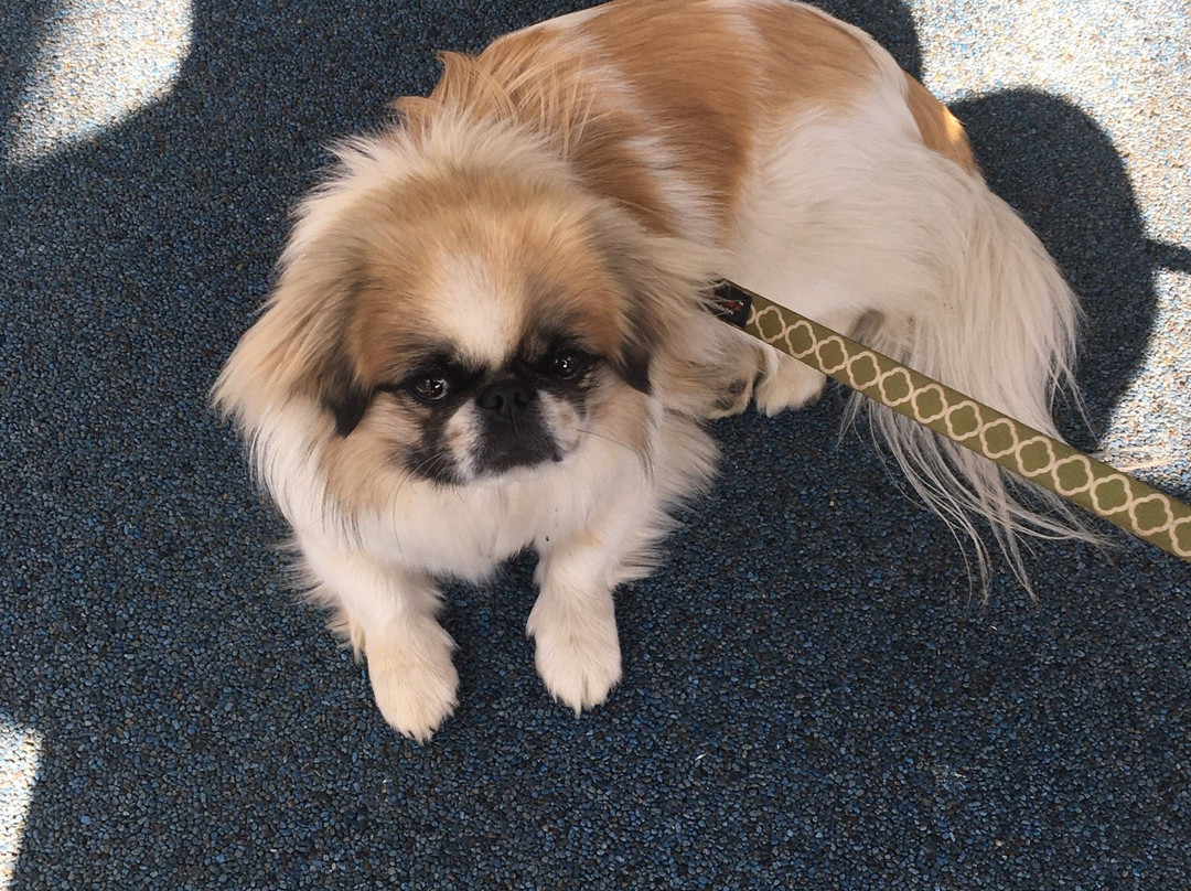 Phirrel Art Boutique-查特韦尔必去景点