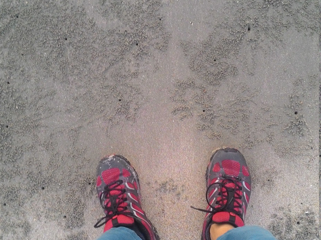 Gunung Arong Recreational Forest-Endau必去景点