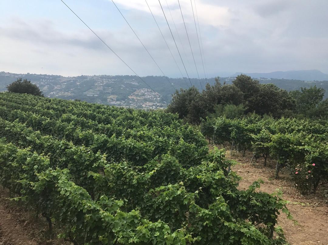 Domaine de Toasc-尼斯必去景点