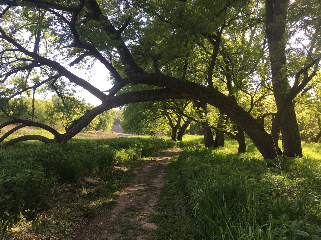 The Blood Run Nature Area-苏福尔斯必去景点