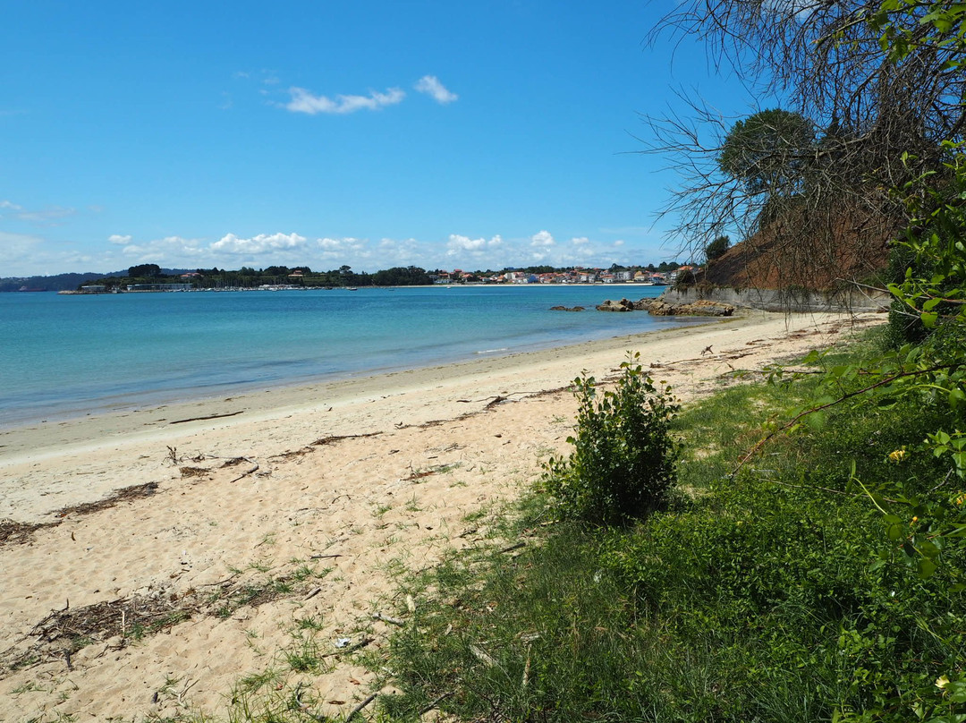 Playa de Seselle景点图片