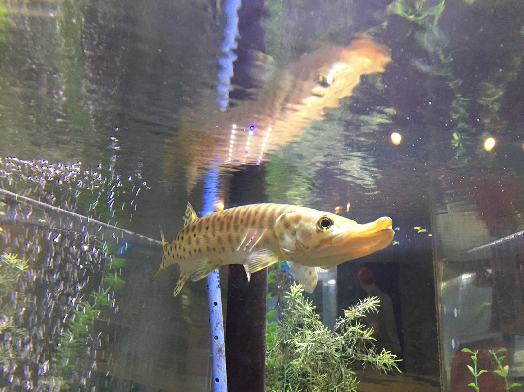Kalamazoo Nature Center景点图片