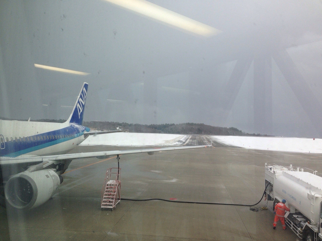 Michi-no-Eki Noto Satoyama Airport景点图片