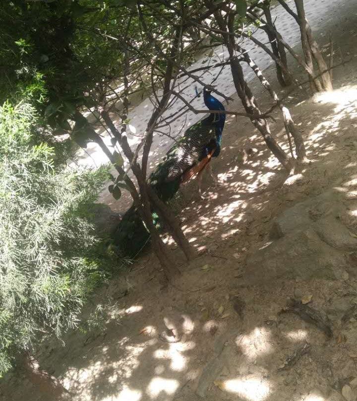 秦岭野生动物园-西安市必去景点