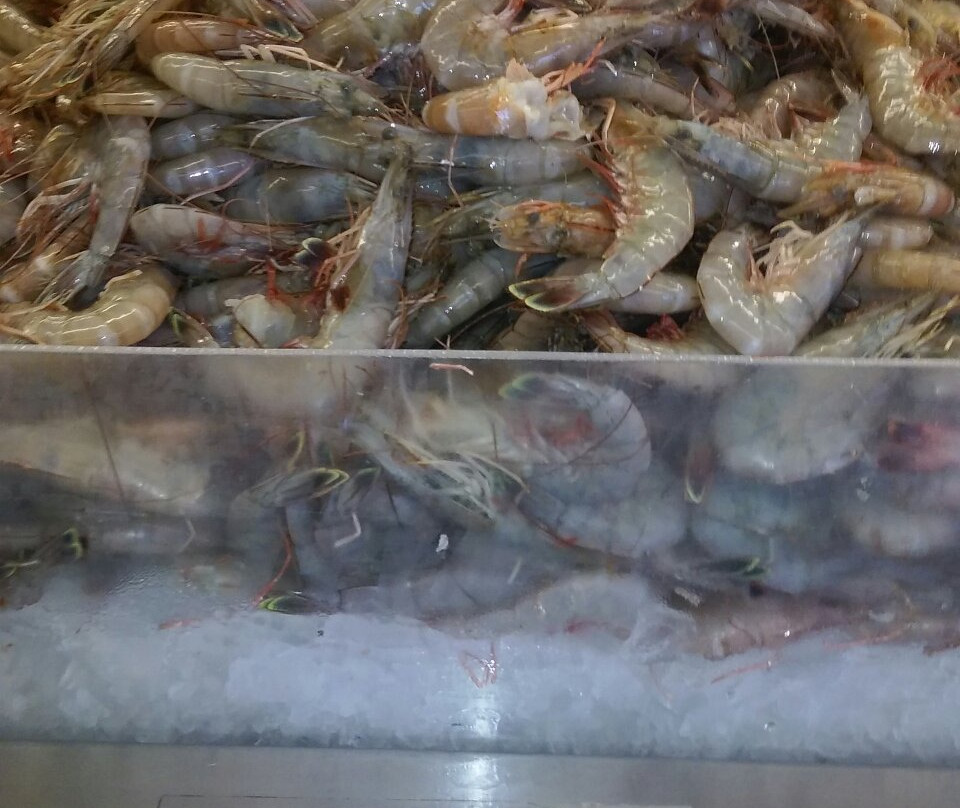 Baybrook's Fresh Seafood