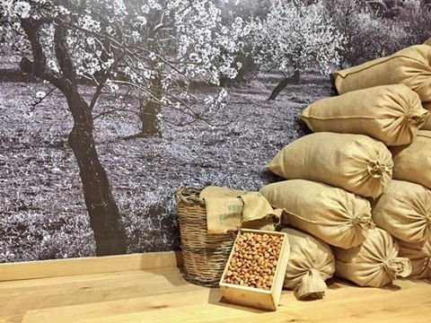 Marzipan - Museo della Mandorla Siciliana景点图片