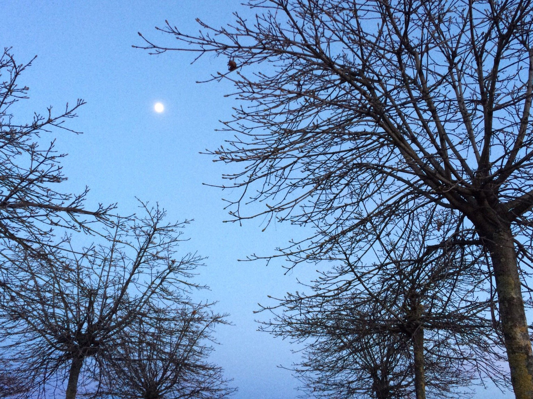 Nansen Park-Fornebu必去景点