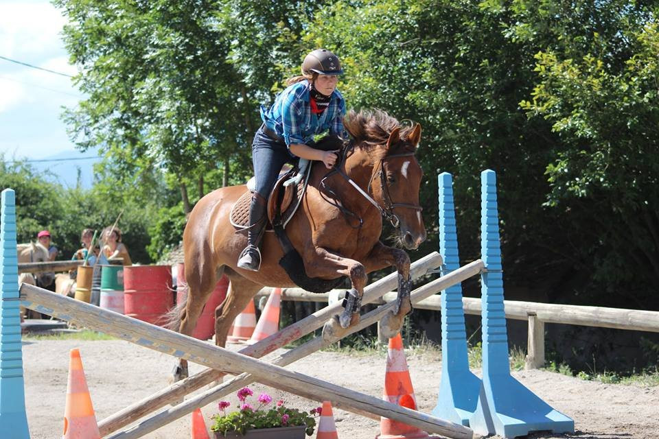 Espace Equestre du Trieves景点图片