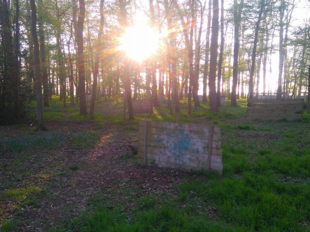 Terrain de Paintball d'Amiens Metropole景点图片