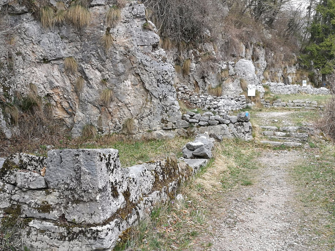 Romano d'Ezzelino旅游攻略图片