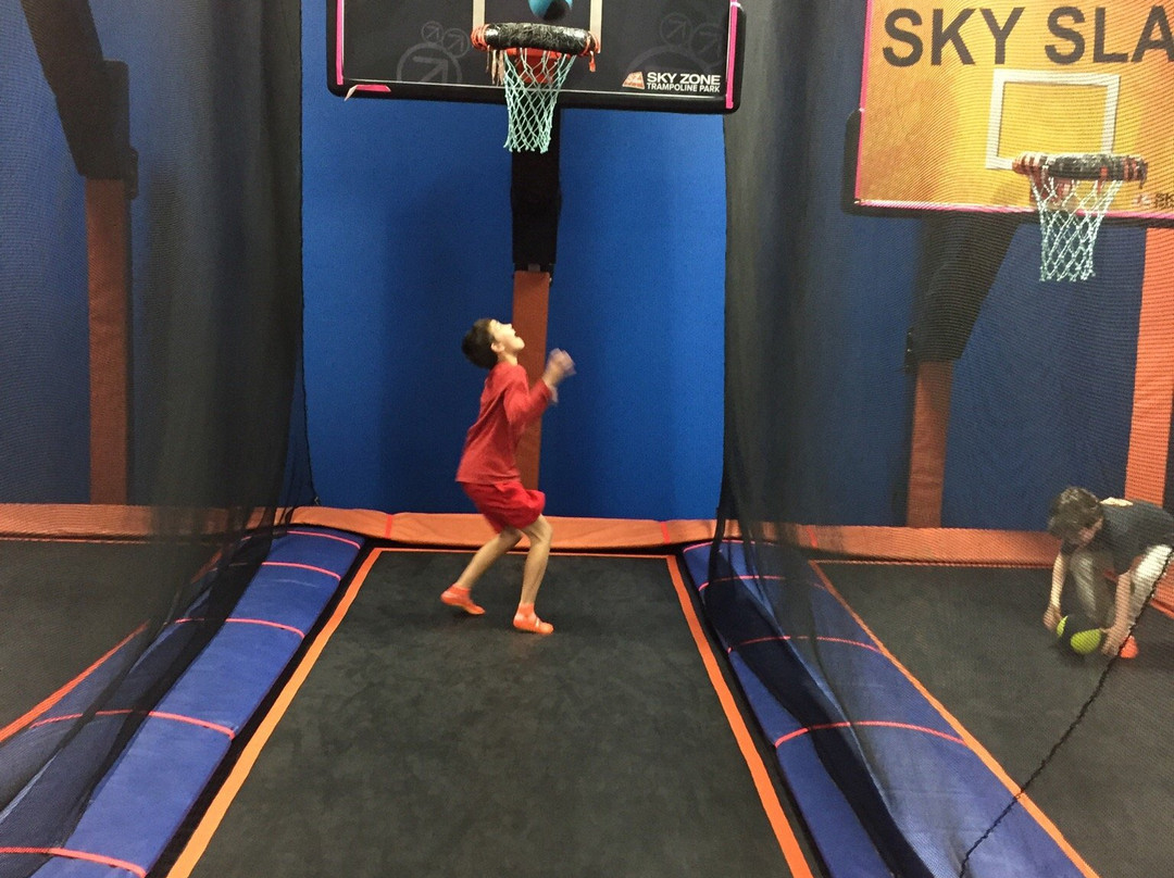 Sky Zone Trampoline Park景点图片