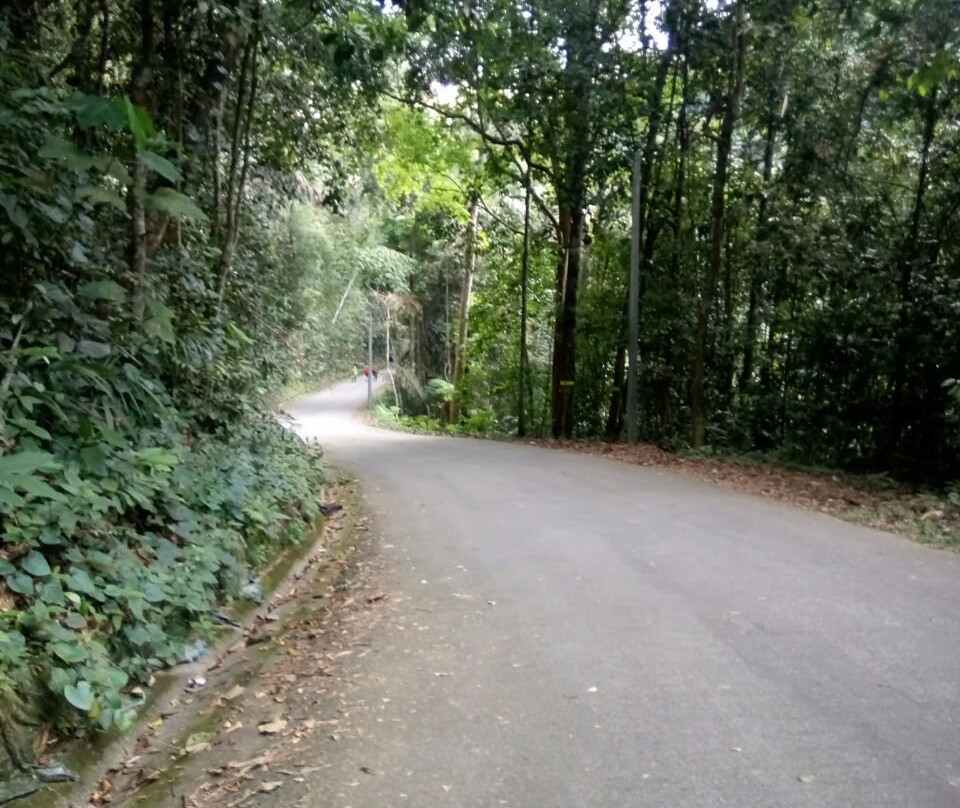 Pulai Waterfall景点图片