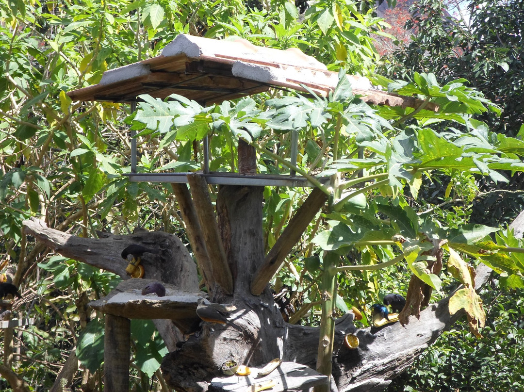 Cantinho dos 3 Pontoes主图