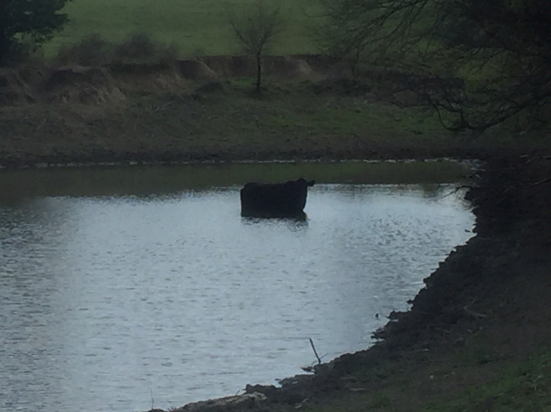 Sugar Ridge Winery-恩尼斯必去景点