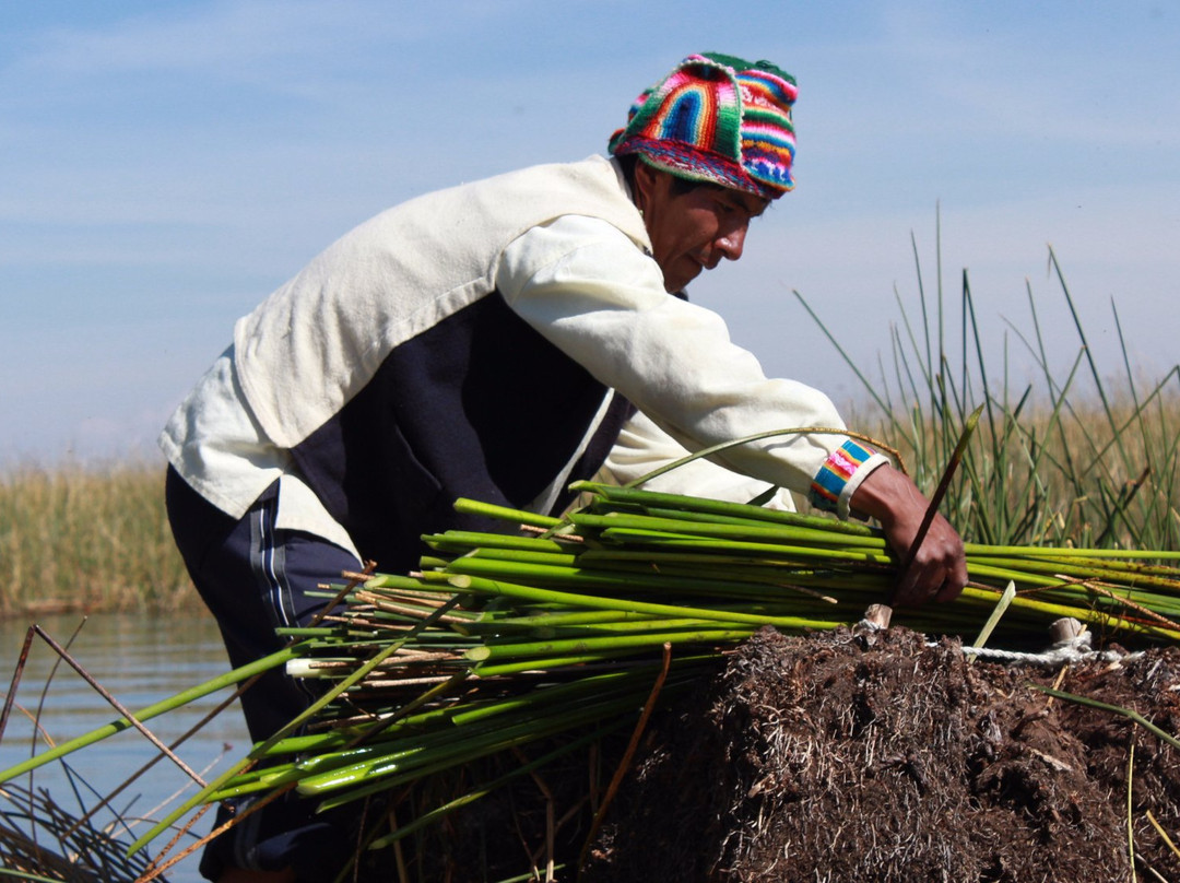 Titicaca Encanto Tours-普诺大区必去景点