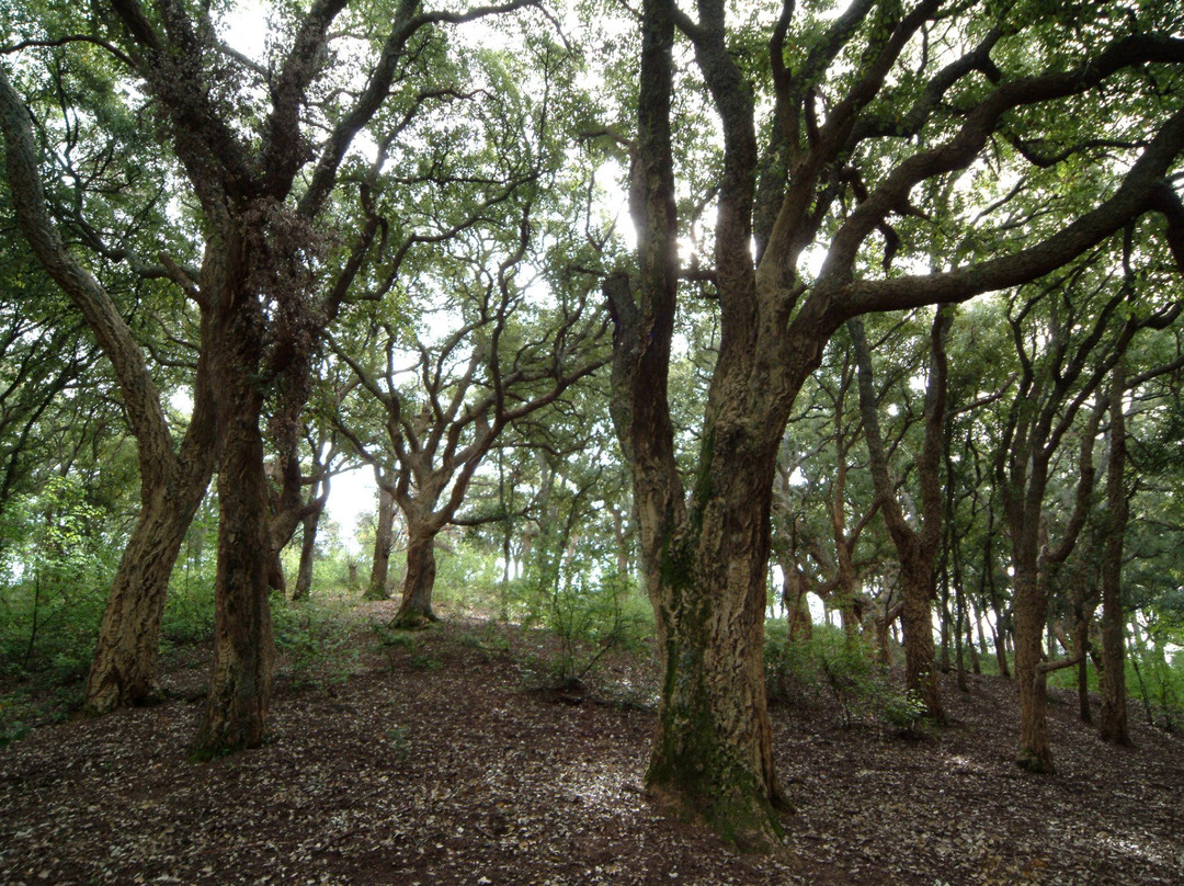 Riserva Naturale Monte Catillo-蒂沃利必去景点