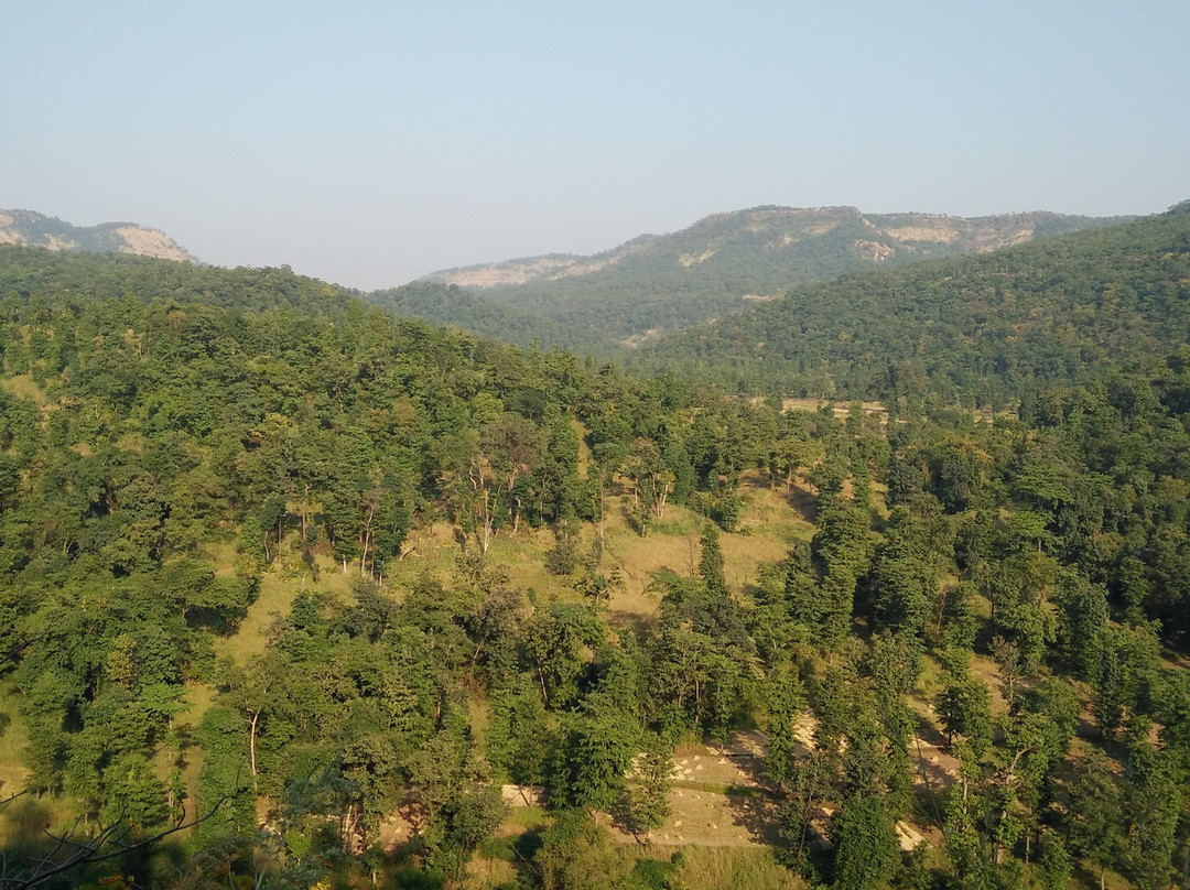 Tansa Wildlife Sanctuary景点图片