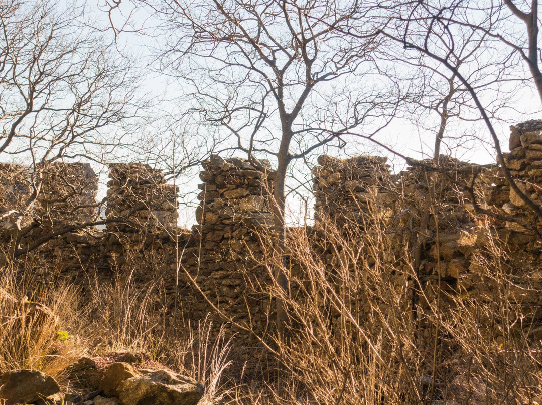 Castello di Cesnola景点图片