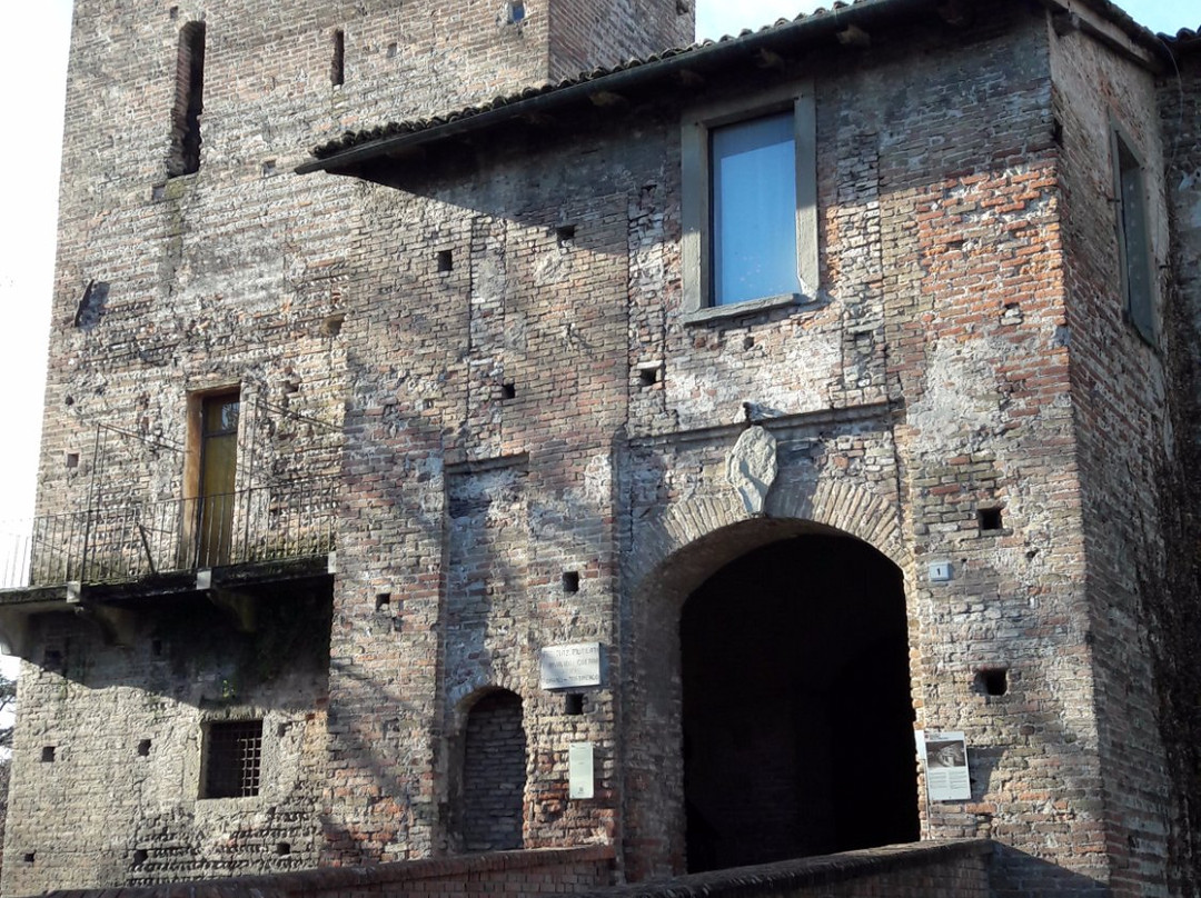Castello Visconteo景点图片