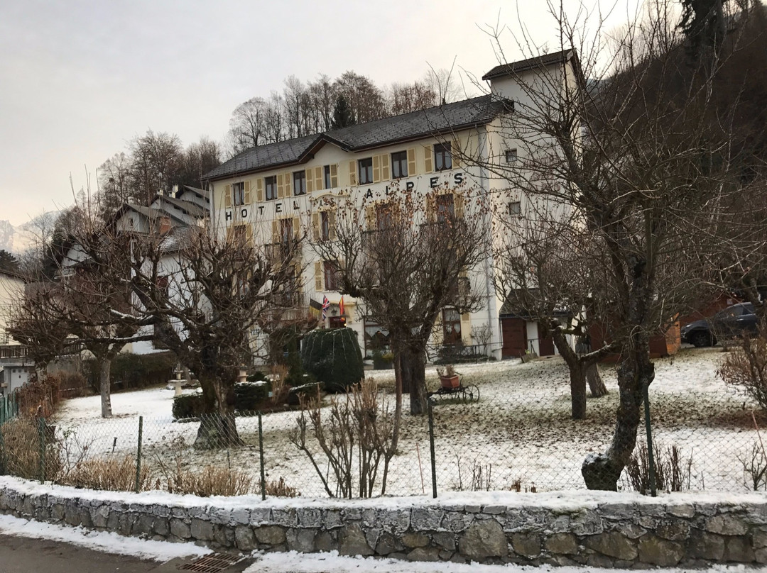 Hotel des Alpes主图