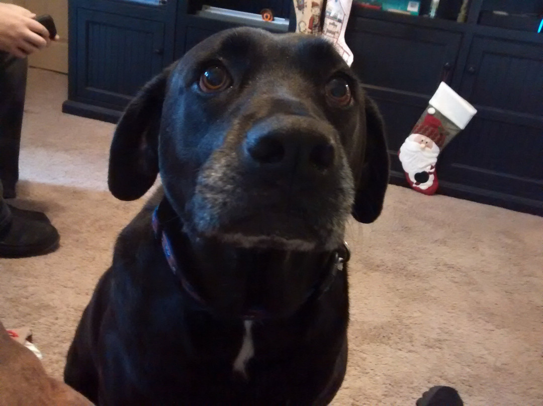 Regal Streets Of Indian Lake-Hendersonville必去景点