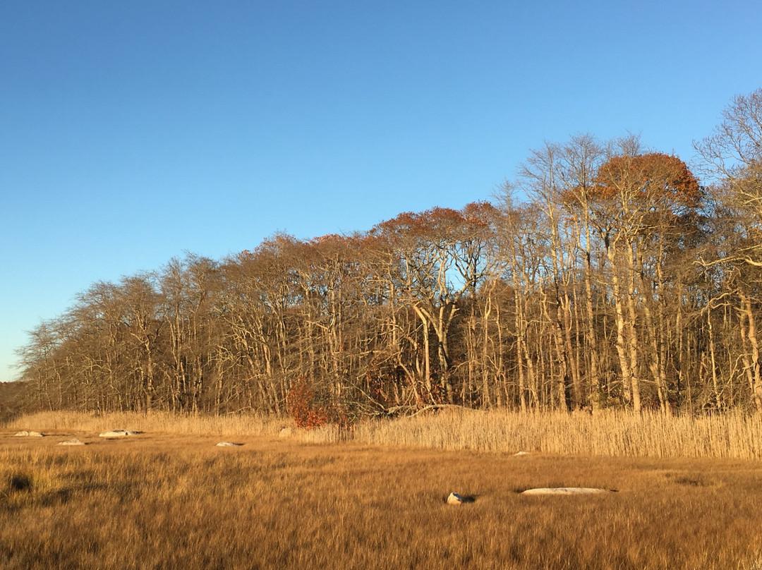 Barn Island Wildlife Management Area-Pawcatuck必去景点