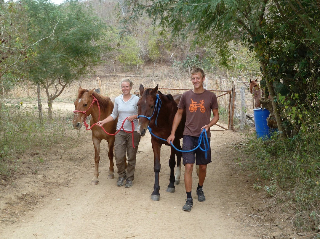 Rancho Sol y Mar-Mayto必去景点
