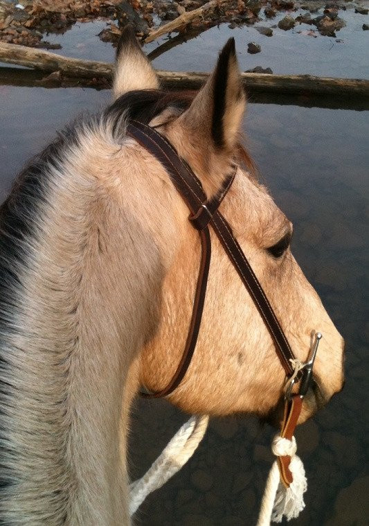 Flying Q-费耶特维尔必去景点