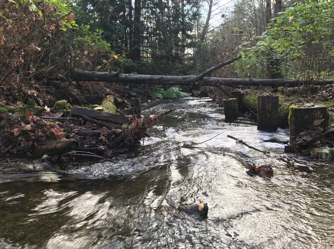 Des Moines Creek Trail-得梅因必去景点