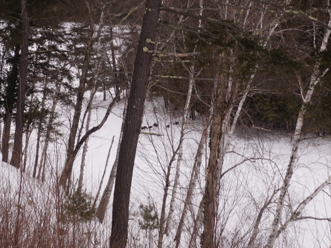 Auberge Couleurs de France主图