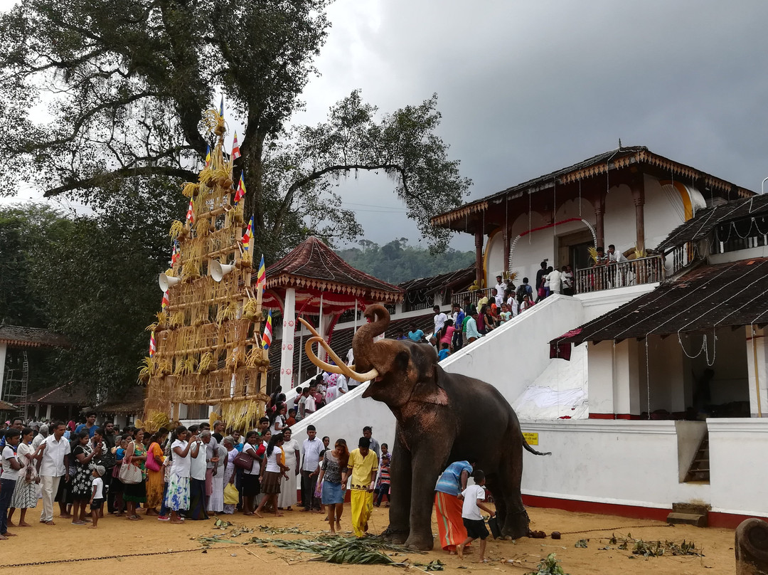 Maha Saman Dewalaya景点图片