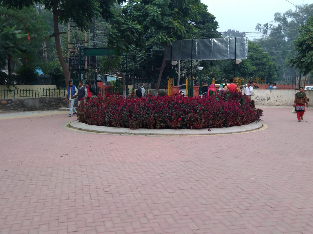 Nehru Rose Garden-卢迪亚纳必去景点