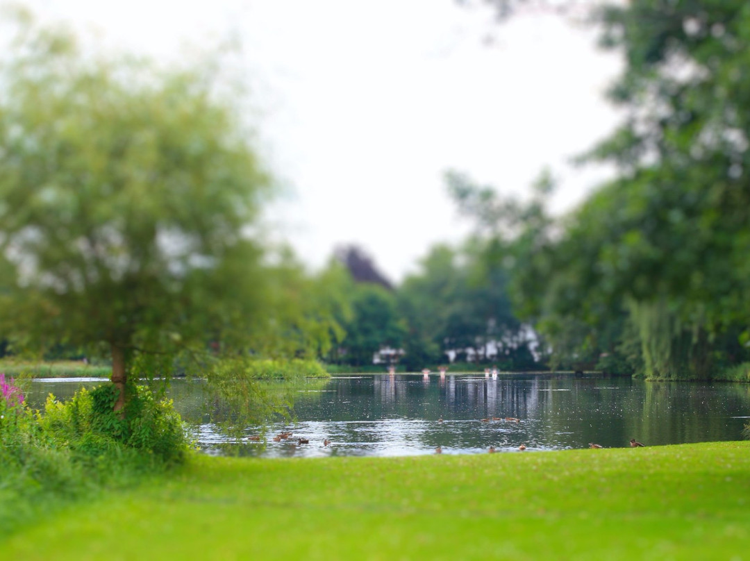 Mühlenteich-Munster必去景点