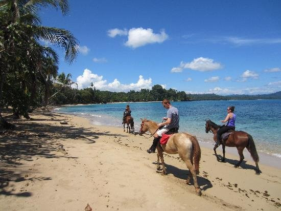 Cabuya Tours & Rentals景点图片