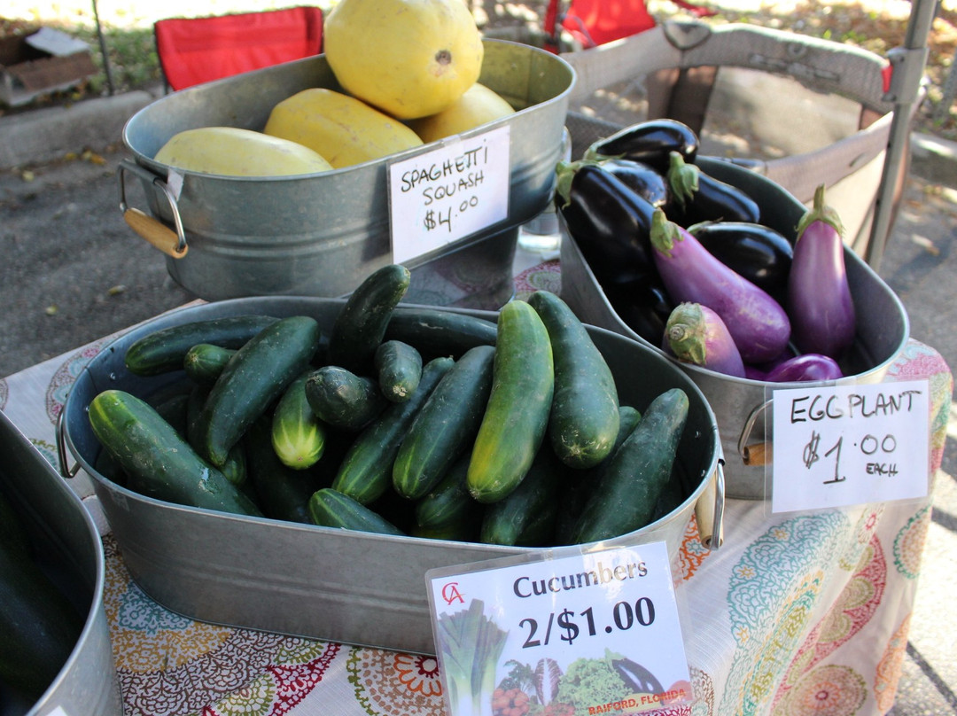 Riverside Arts Market-杰克逊维尔必去景点