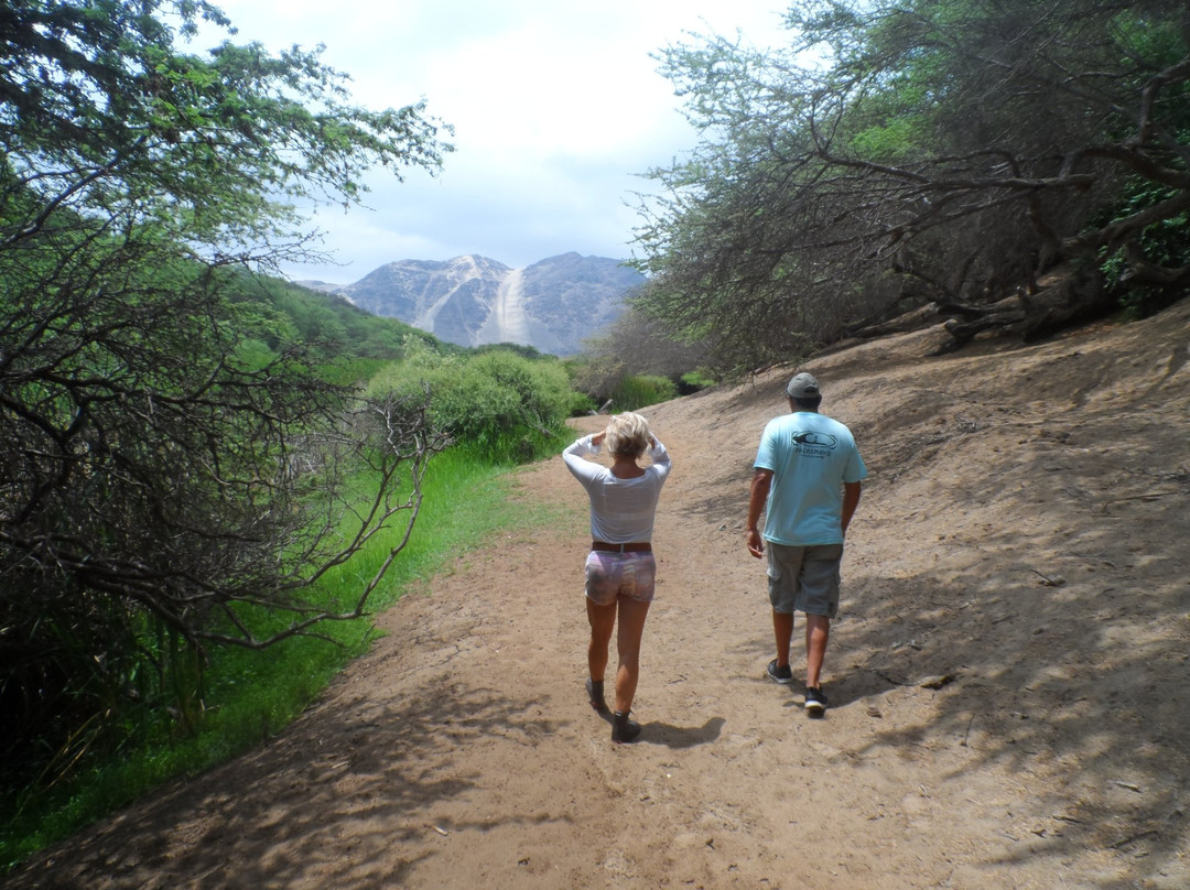 Bosque El Canoncillo-Pacasmayo必去景点