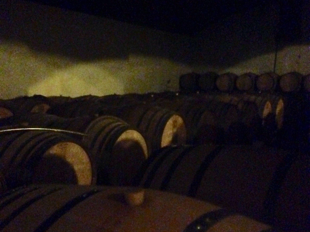 San Rustico Winery景点图片