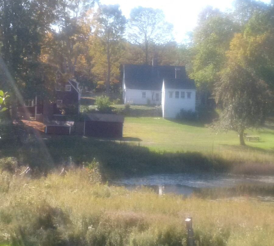 The Milestone Inn主图