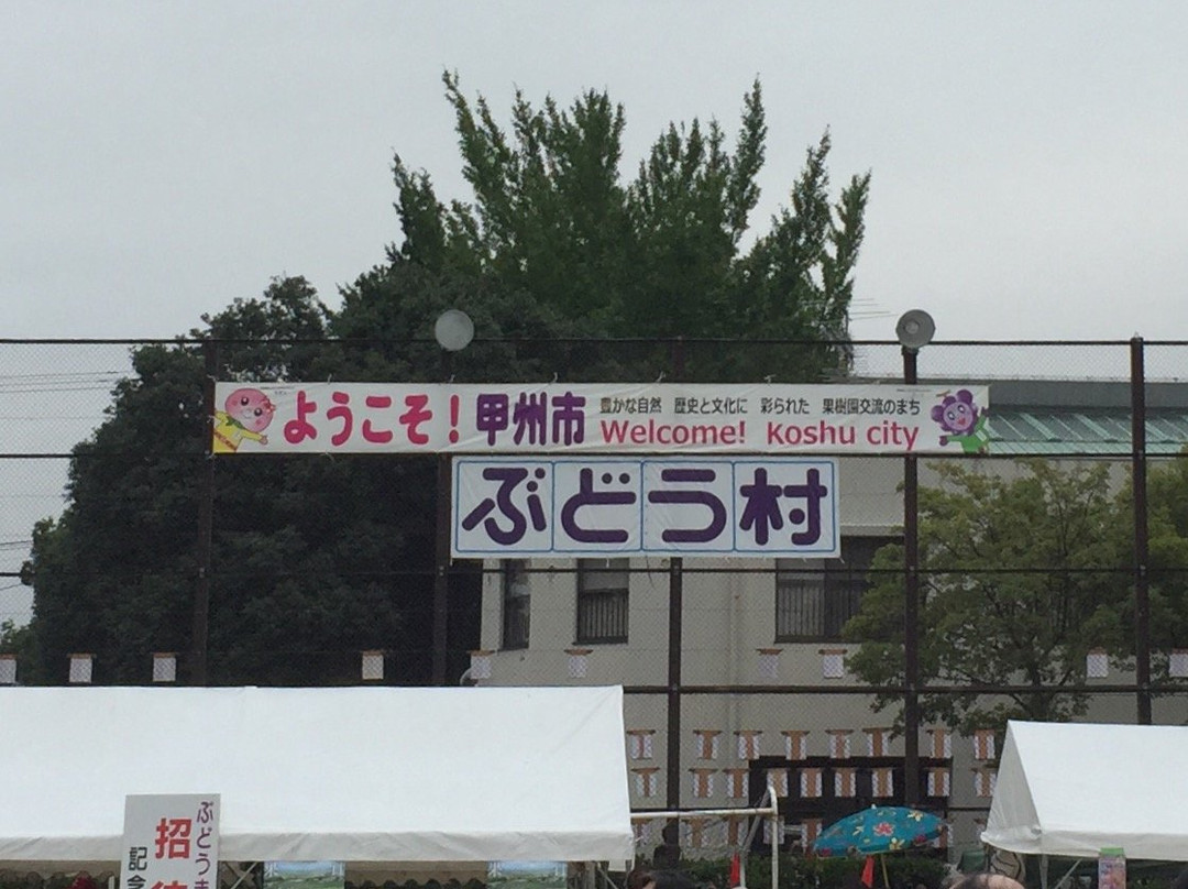 Koshu City Katsunuma Grape Festival景点图片